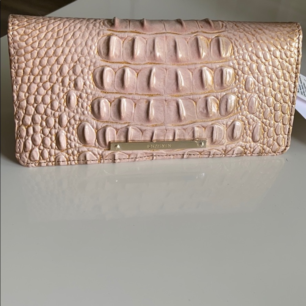 Brahmin 🌸